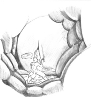 drawing insertion micro furry tail monochrome cum penis sex orgasm unknown_artist sex_from_inside shrunken_man dialogue source_needed inside_pussy internal_view
