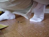 7469 - crush feet foot giantess man mega small socks.jpg