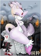 drawing giantess furry city mega color shadow sonic_the_hedgehog blaze_the_cat