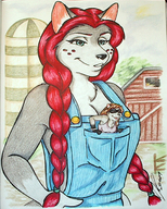 drawing furry anthro color long_hair blue_eyes clothed cleavage brunette fox red_hair raccoon farm walking shrunken_woman overalls ponytails pocket outdoors freckles braid source_needed in_pocket cleavage_window allison viper45