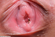 giantess pussy shrunken_men entrapment