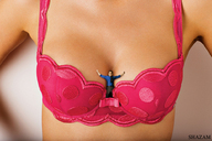 breasts collage clothed bra