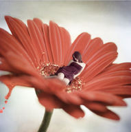 gentle shrunken_woman artistic nature