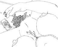 female giantess insertion furry western_artwork high_angle