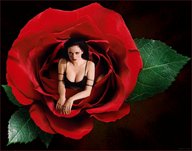 collage black_hair clothed cleavage shrunken_woman flower