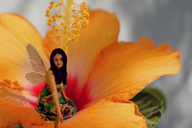 collage wings black_hair long_hair fairy shrunken_woman jnet flowers