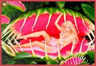 vore shrunken_men shrunken_woman photograph