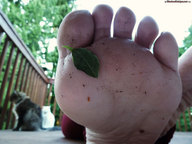 crush feet soles brunette giantess_katelyn dirty_soles nature point_of_view