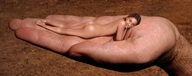 nude male handheld shrunken_woman