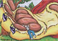 feet furry macro wolf paws cerberus funny