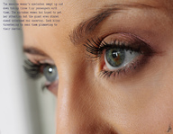 giantess collage micro eye unaware shrunken_woman eye_lashes unnoticed_death
